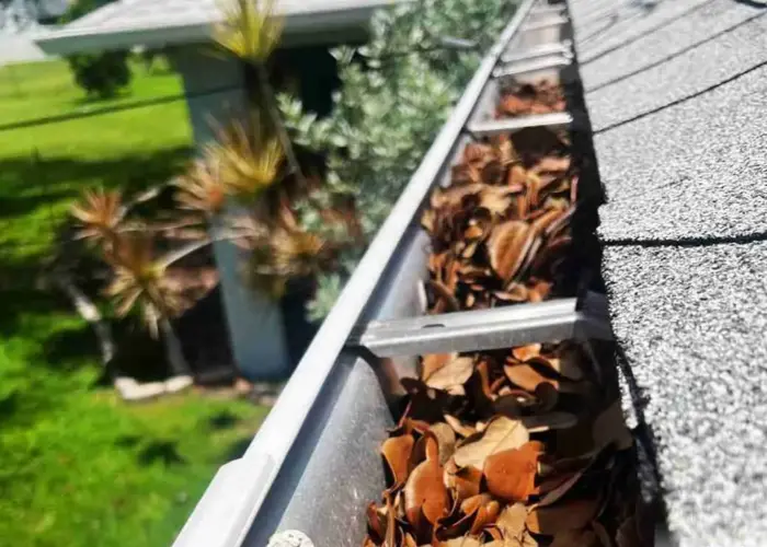 Roanoke gutter cleaning home page